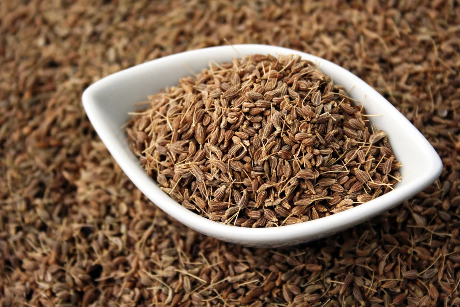 🌿 Erva-Doce para Importação e Exportação –20kg para sacola -Sementes de Alta Qualidade do Egito