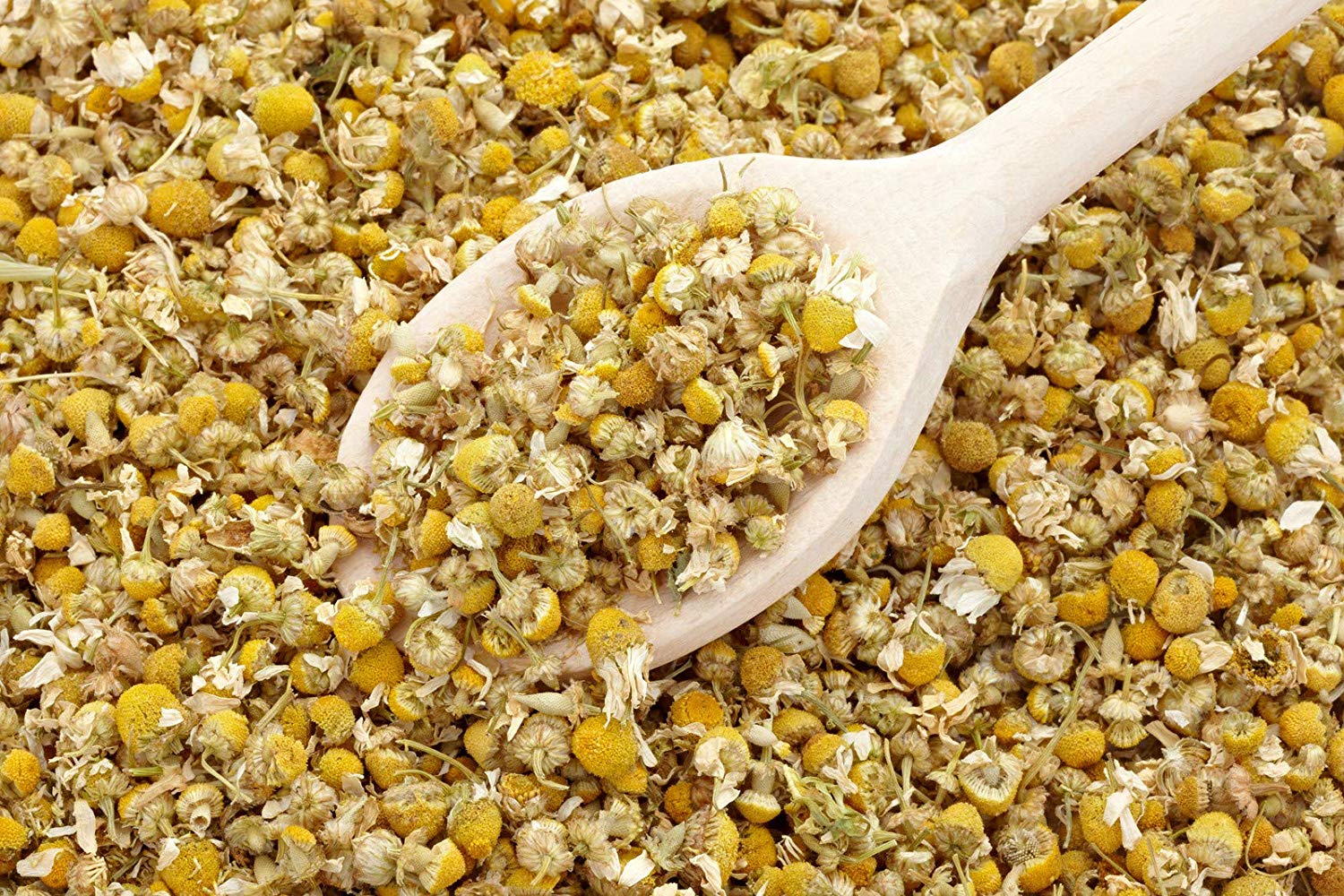 🌼 Exportação de Camomila Egípcia – Flores Secas de Alta Qualidade para o Mercado Internacional